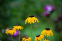 Apartment with Balcony on Second Floor