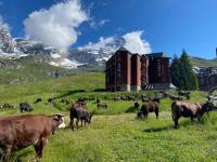 THE NEST Apartment Suite Ski-in Ski-out with Hammam - B&B Cervinia