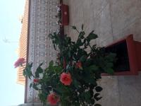 Piso con encanto - B&B Cehegín