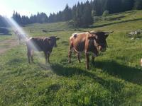 Casa con 5 Camere da Letto