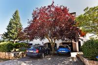 Apartment Nikola - Chambres d'hôtes Poreč