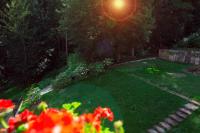 Apartamenty Willove Wzgórze - Bed and Breakfast