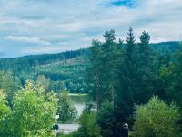 Apartmány Lipno 46 - Ferienwohnung Lipno nad Vltavou