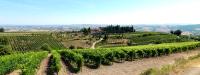 Colle al Matrichese - Historic Winery - B&B