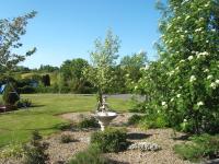 Dillon's Cottage - B&B Monneill