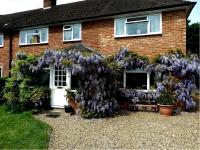 UPTHEDOWNS B&B - B&B