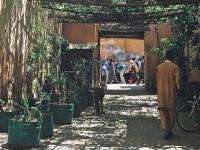 Riad Dar Marhaba - B&B