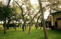 Live Oaks Bed and Breakfast - B&B Uvalde