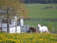 B&B Baden - Gîtes & Tiny houses Les Hauts de Toulvern - Bed and Breakfast Baden