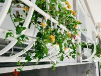 Sweet Country Home - Casa LuMePa - B&B