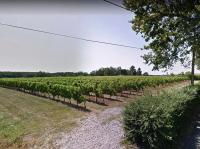 Maison du Moulin - B&B Yvrac