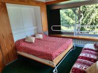 Vetrate sul bosco - Chambres d’hôtes Marilleva 1400