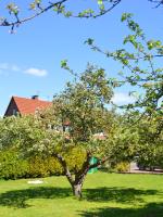 Ferienwohnung Waldblick Bückeburg - B&B