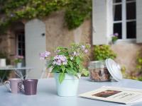 Domaine La Parpaille - Ferienwohnung Cucuron