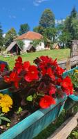 Etno domacinstvo Saponjic - Bed and Breakfast