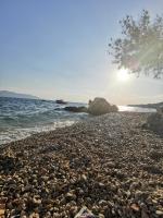 Apartmani Elena i Branko - Ferienwohnung Brist