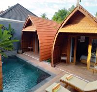 Villa Lumbung Amertha Sari - B&B Lovina