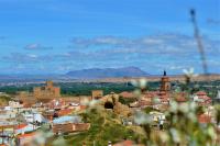 La Madriguera Eco Caves - Bed and Breakfast