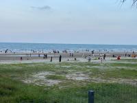 TA-G-11 @timurbay - B&B Kuantan