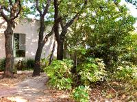 Rose Garden - Gan Vradim - B&B Amirim