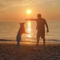 Studio Meißner - Parkresidenz Dierhagen - B&B Ostseebad Dierhagen