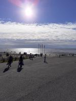 Echt Ostfriesenhus - B&B Norden