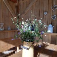 Agroturystyka Cold Sea - B&B Sztutowo