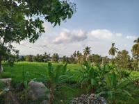 B&B Hampi - Gopi Plantation Homestay - Bed and Breakfast Hampi