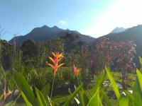 Flats Refugio da Mata - B&B Paraty