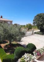 Apartment Katarina - B&B Dignano