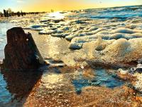 One-Bedroom Apartment - Nr. 5