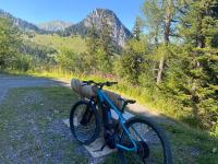 Alpine apartment in Swiss village of Torgon - Bed and Breakfast Torgon