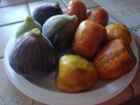 I due campanili - B&B