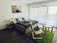 Apartment mit 1 Schlafzimmer