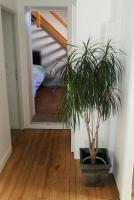 La Citadine maison de ville avec garage - B&B Bagnères-de-Bigorre