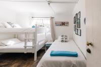 Bunk Bed in Mixed Dormitory Room