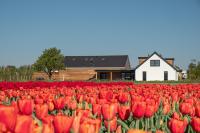 B&B de Cley - Bed and Breakfast Noordwijk-Binnen