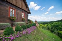 Kuća za odmor Stara hiža - B&B Selnica