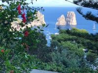 B&B Capri - La Grande Bellezza - Bed and Breakfast Capri