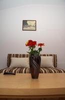 Studio with Sofa Bed