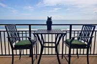 Beach Condo Unit #435 - B&B Daytona Beach Shores