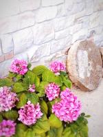 Agriturismo Casale Cerere - Bed and Breakfast Lacedonia