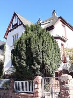 Bismarckstrasse 8 - B&B Bad Bergzaben