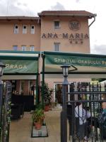 Pensiunea Ana Maria - Chambres d’hôtes Băile Felix
