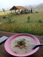 Wanmai Farm Stay Muangkong วันใหม่ฟาร์มสเตย์ เมืองคอง เชียงดาว - Bed and Breakfast Ban Nong Bua