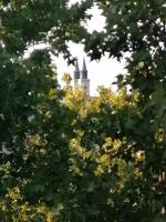 Apartman KIKA - B&B Sombor