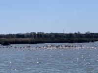 Salgados Beach and Relax - B&B Guia