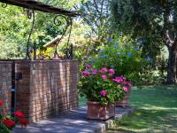 Agriturismo Salcino - B&B Grosseto