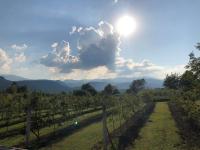 Althea Home & Wellness - Bed and Breakfast