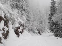 Apartment mit Terrasse